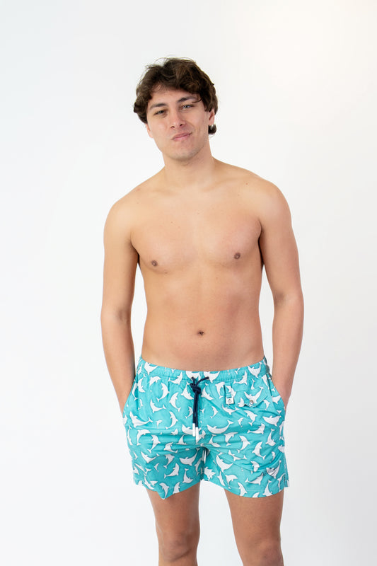 Dolphin- Costume verde acqua fantasia dolphin